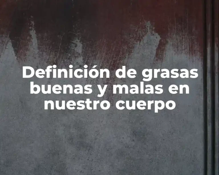 Definición de grasas buenas y malas en nuestro cuerpo