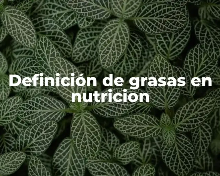 Definición de grasas en nutricion