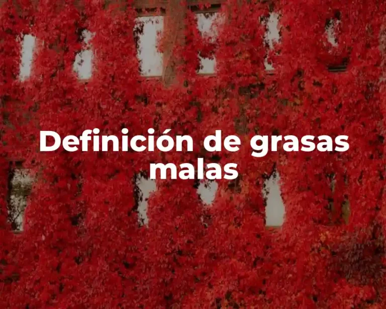 Definición de grasas malas
