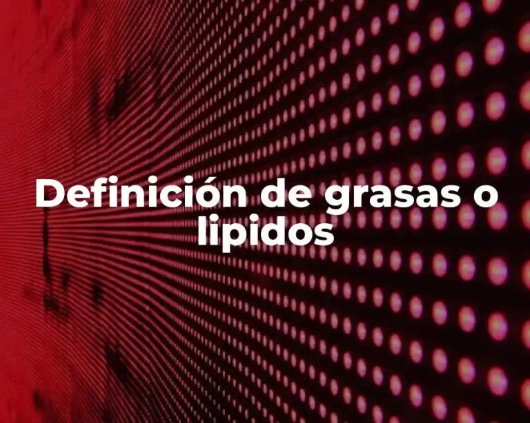 Definición de grasas o lipidos