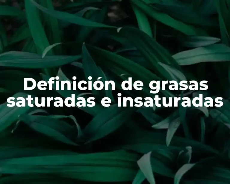 Definición de grasas saturadas e insaturadas