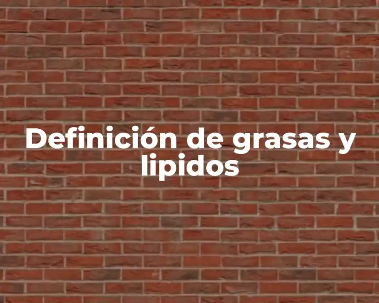Definición de grasas y lipidos