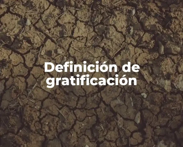 Definición de gratificación