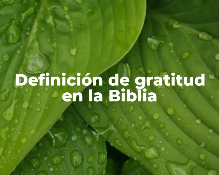 Definición de gratitud en la Biblia
