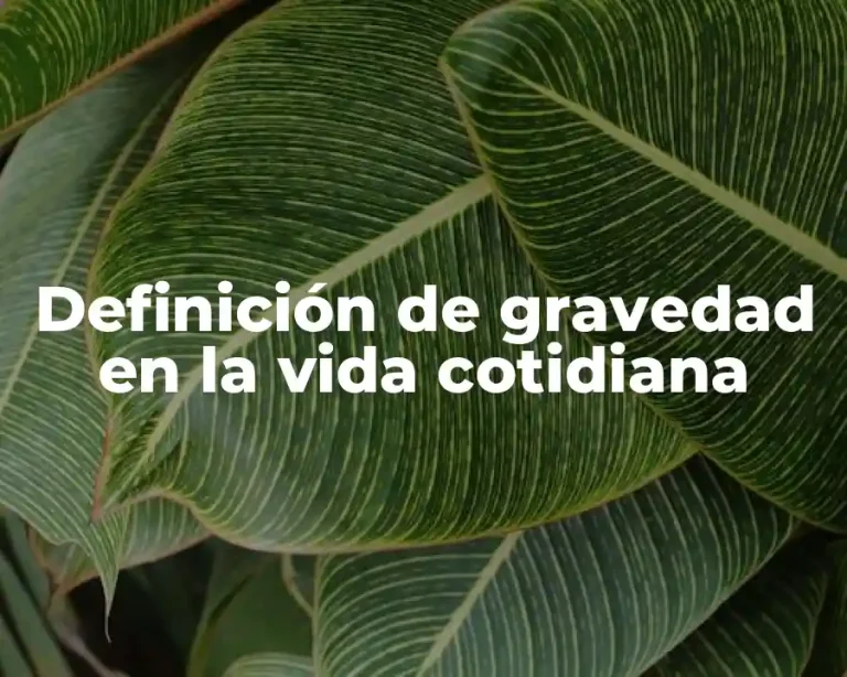 Definición de gravedad en la vida cotidiana