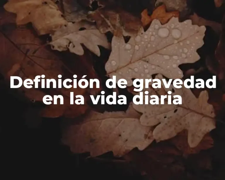 Definición de gravedad en la vida diaria