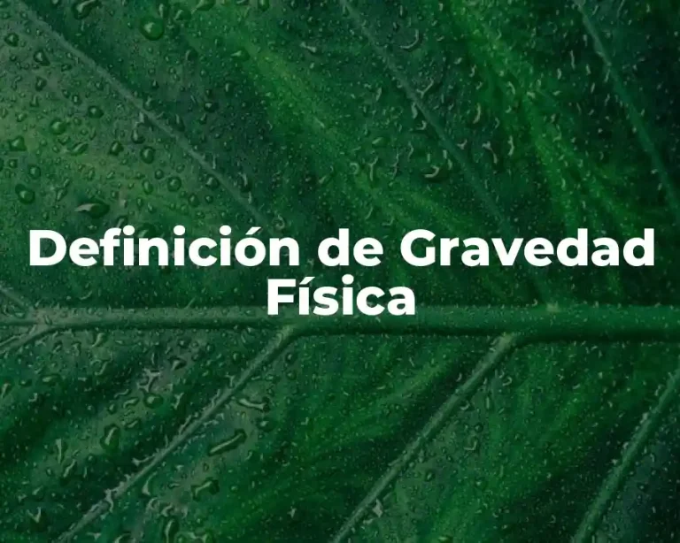 Definición de Gravedad Física