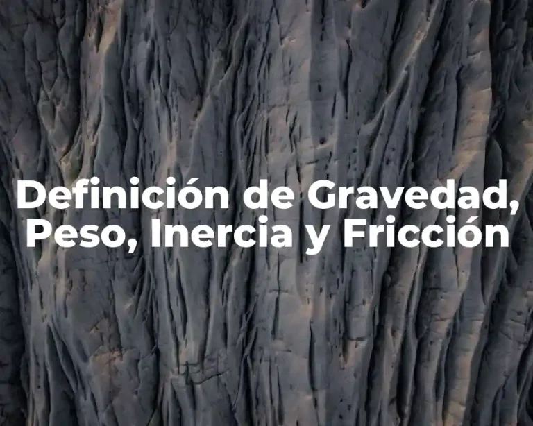 Definición de Gravedad, Peso, Inercia y Fricción