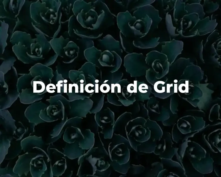 Definición de Grid