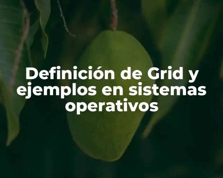 Definición de Grid y ejemplos en sistemas operativos