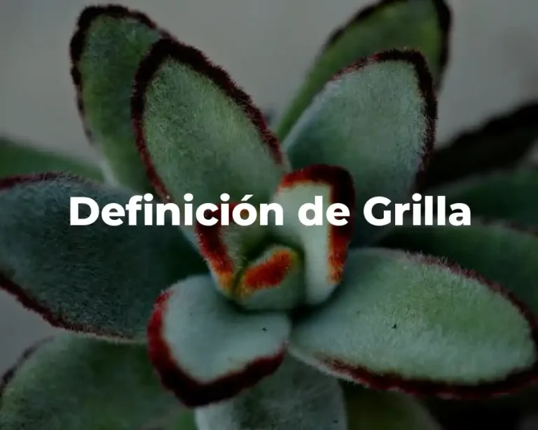 Definición de Grilla