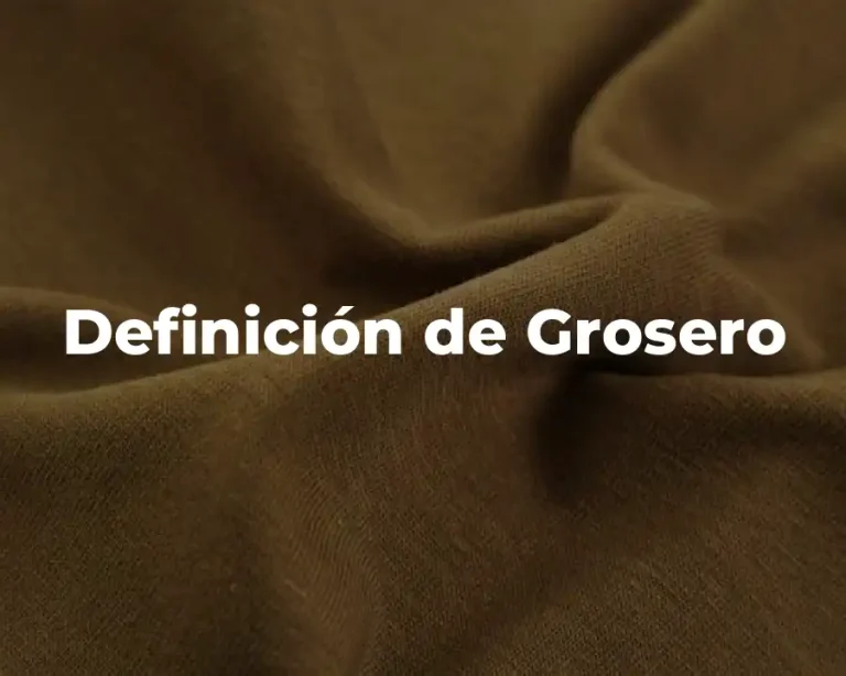 Definición de Grosero
