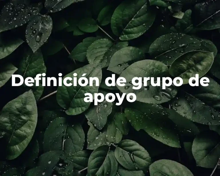Definición de grupo de apoyo