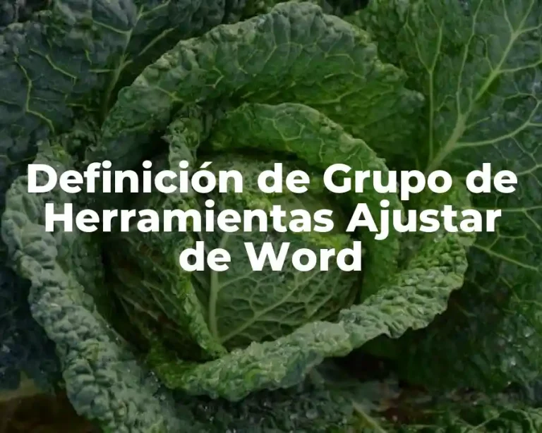 Definición de Grupo de Herramientas Ajustar de Word