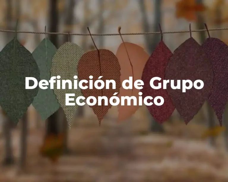Definición de Grupo Económico