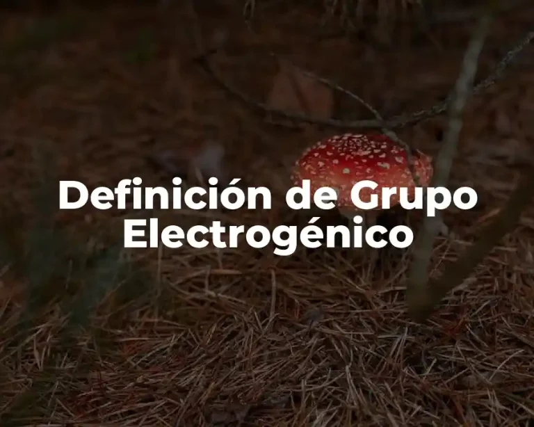 Definición de Grupo Electrogénico