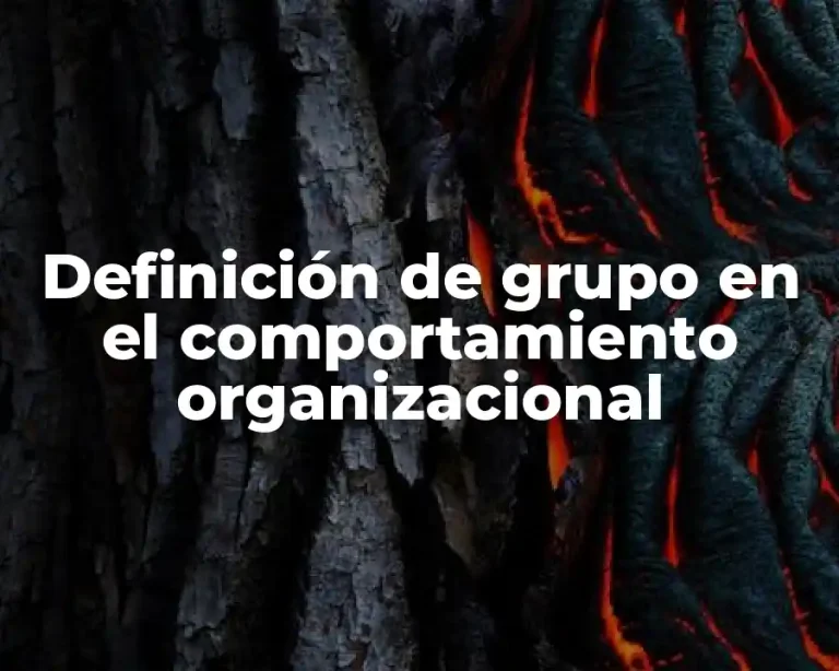 Definición de grupo en el comportamiento organizacional