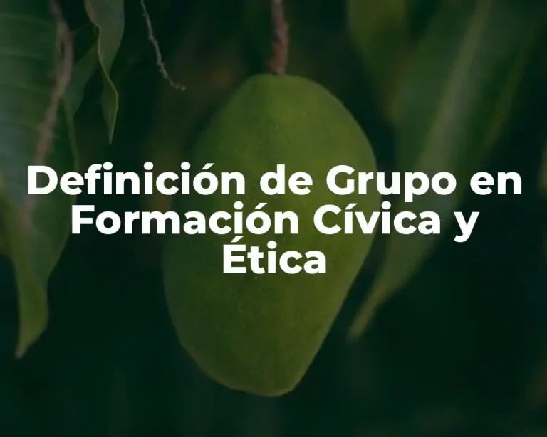 Definición de Grupo en Formación Cívica y Ética