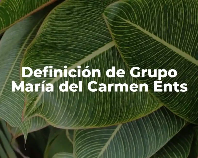 Definición de Grupo María del Carmen Ents