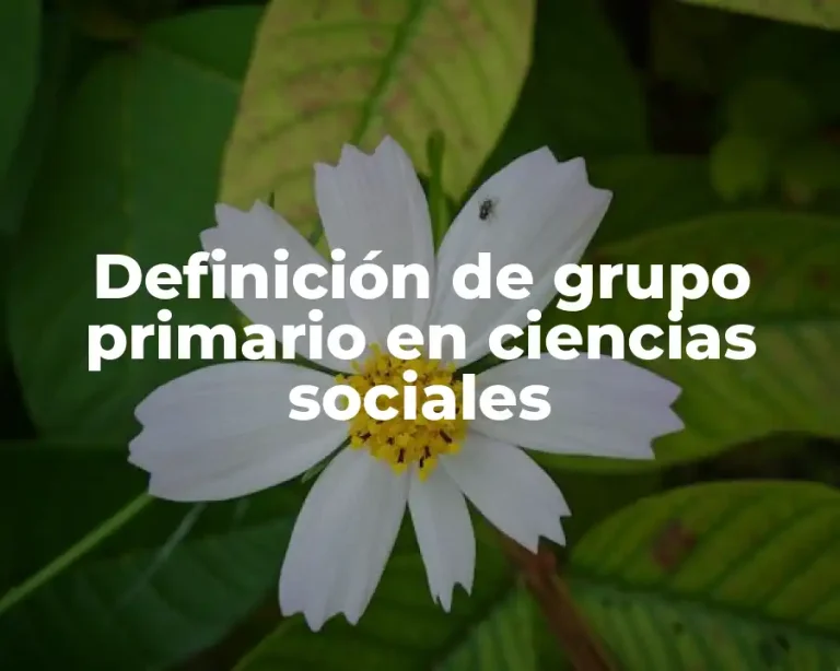 Definición de grupo primario en ciencias sociales