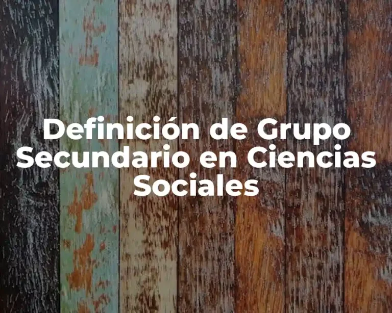 Definición de Grupo Secundario en Ciencias Sociales