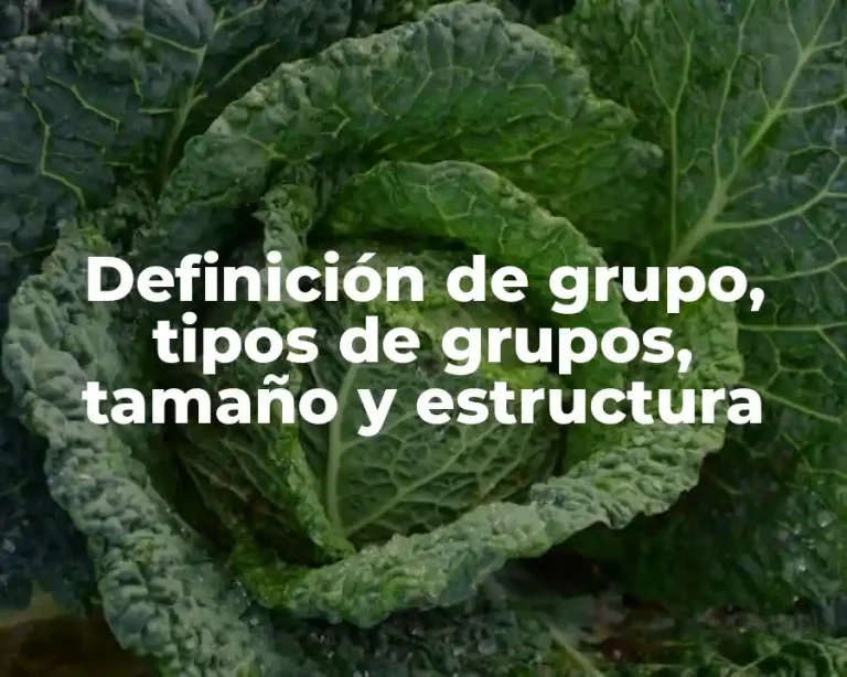 Definición de grupo, tipos de grupos, tamaño y estructura