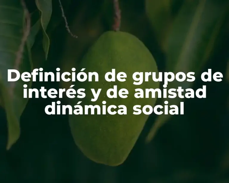 Definición de grupos de interés y de amistad dinámica social