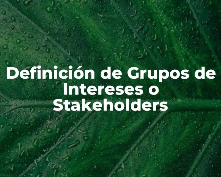 Definición de Grupos de Intereses o Stakeholders