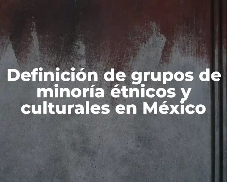 Definición de grupos de minoría étnicos y culturales en México