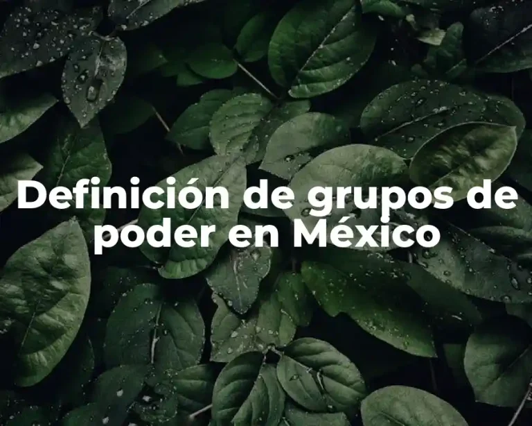 Definición de grupos de poder en México