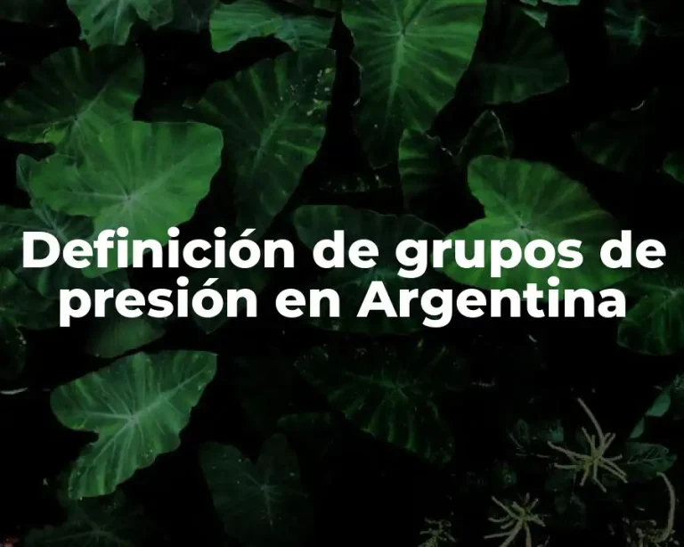 Definición de grupos de presión en Argentina