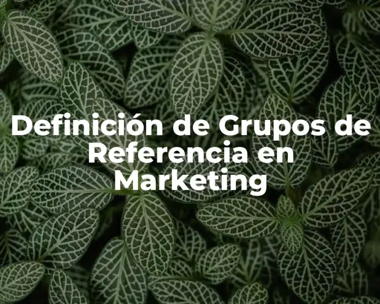Definición de Grupos de Referencia en Marketing