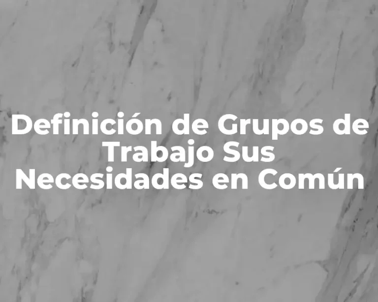 Definición de Grupos de Trabajo Sus Necesidades en Común