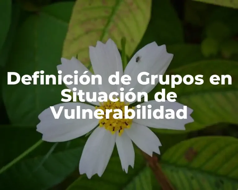 Definición de Grupos en Situación de Vulnerabilidad