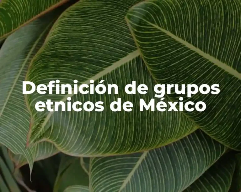 Definición de grupos etnicos de México