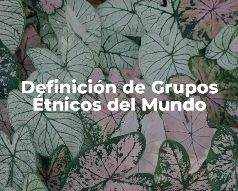 Definición de Grupos Étnicos del Mundo