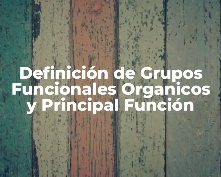 Definición de Grupos Funcionales Organicos y Principal Función