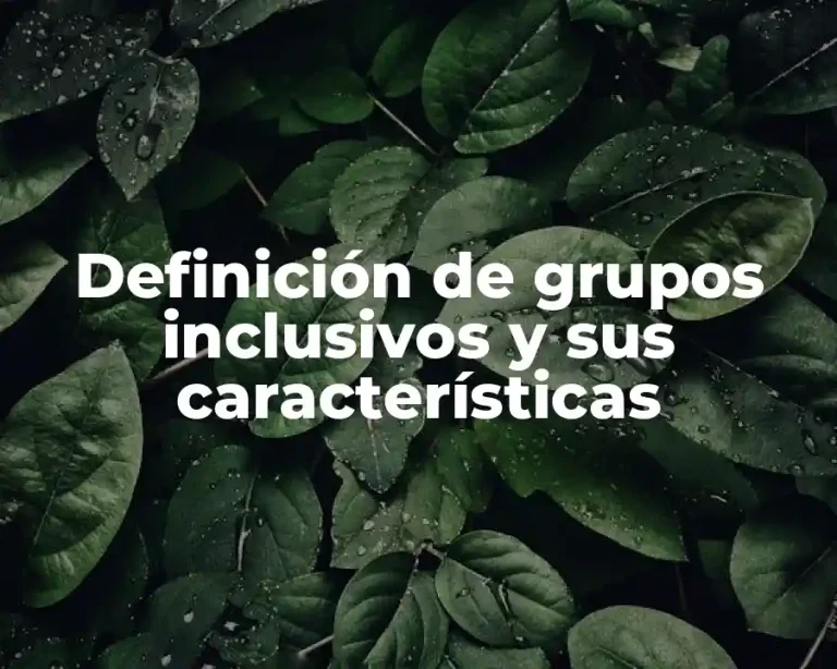Definición de grupos inclusivos y sus características