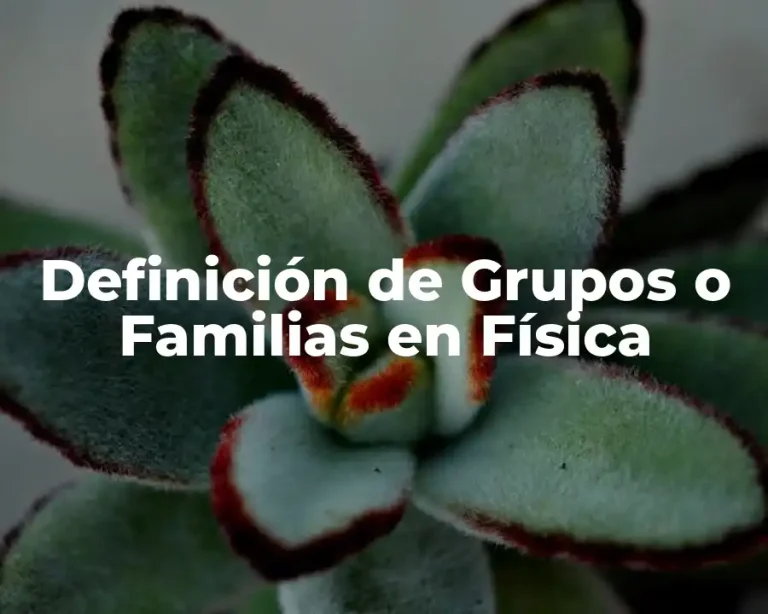Definición de Grupos o Familias en Física