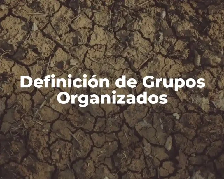 Definición de Grupos Organizados