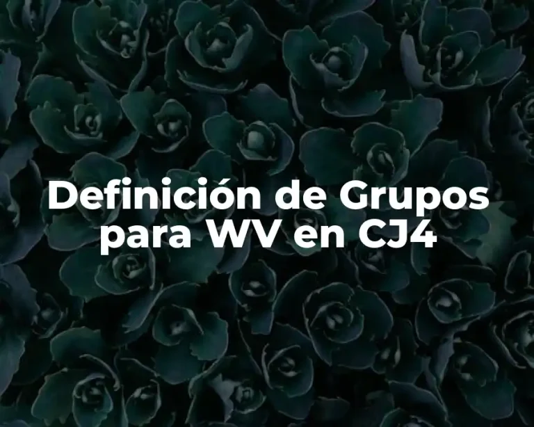 Definición de Grupos para WV en CJ4