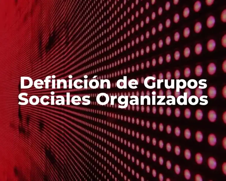 Definición de Grupos Sociales Organizados