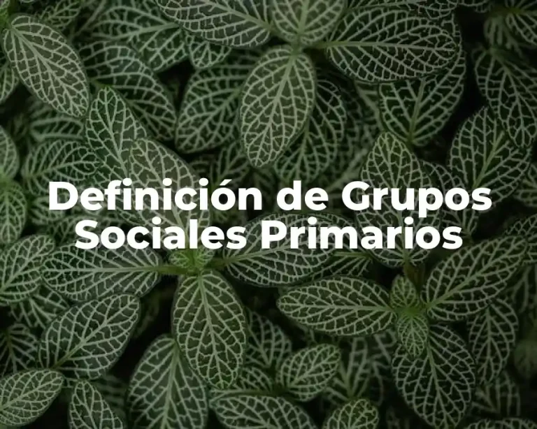 Definición de Grupos Sociales Primarios