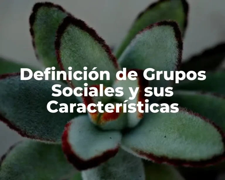 Definición de Grupos Sociales y sus Características