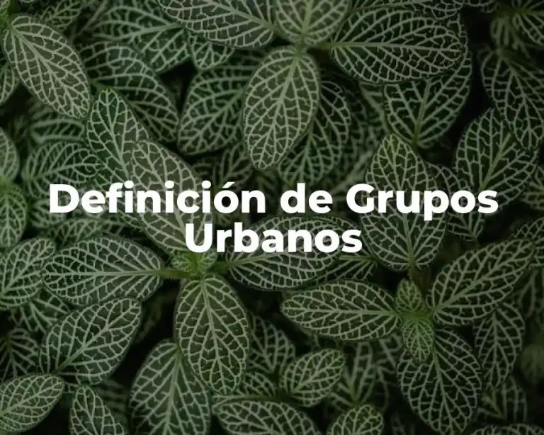 Definición de Grupos Urbanos