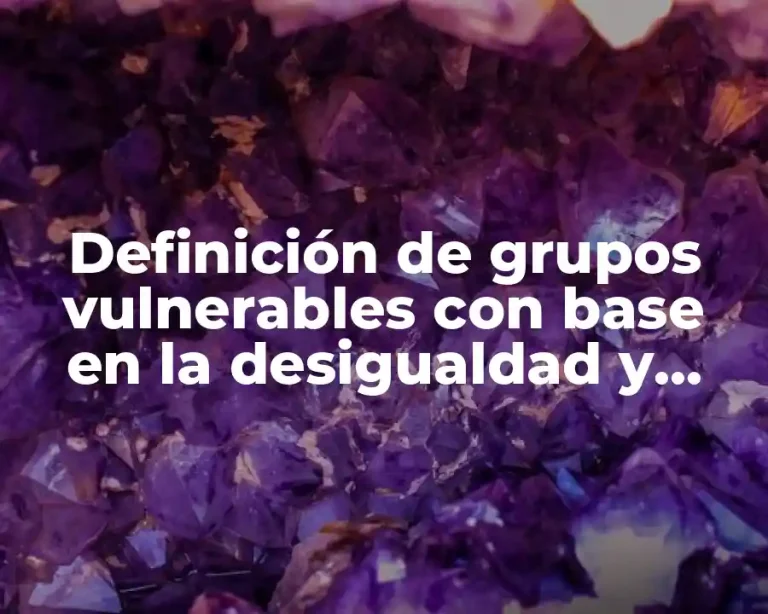 Definición de grupos vulnerables con base en la desigualdad y desigualdad