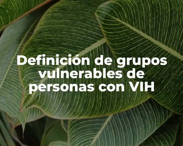 Definición de grupos vulnerables de personas con VIH