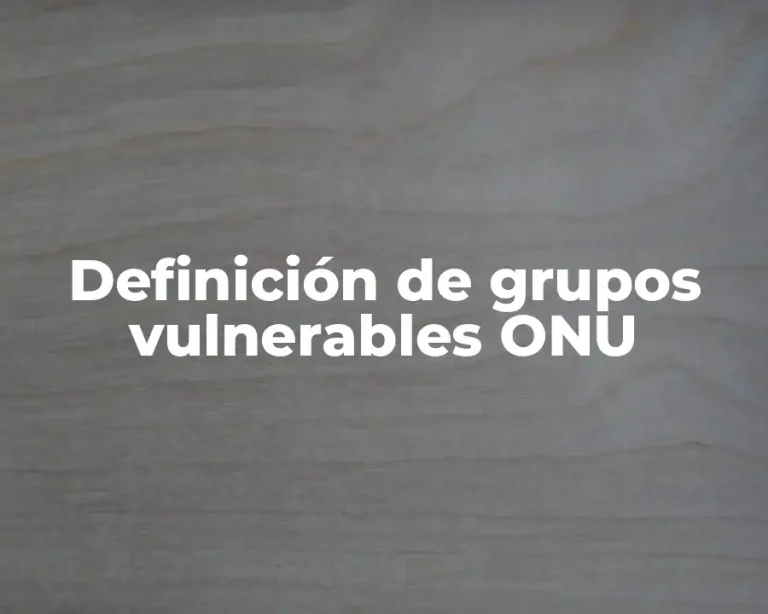 Definición de grupos vulnerables ONU
