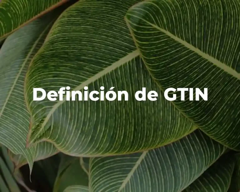 Definición de GTIN
