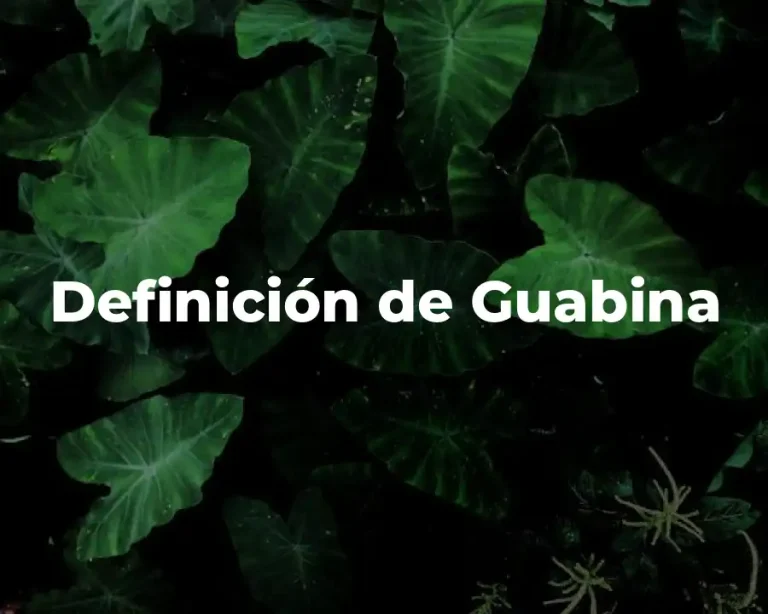 Definición de Guabina